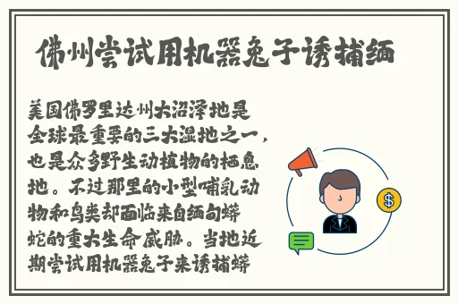 free 性护士vidos呻吟
